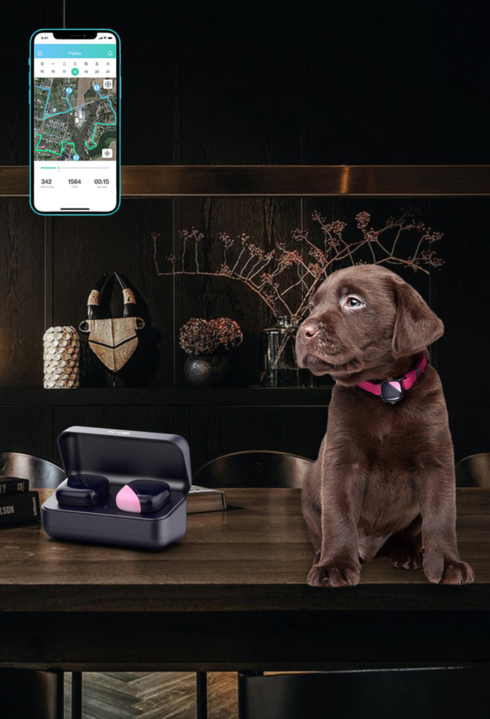 Petfon - Buy Best Pet Trackers & GPS Dog Collars - Smart Pet Device