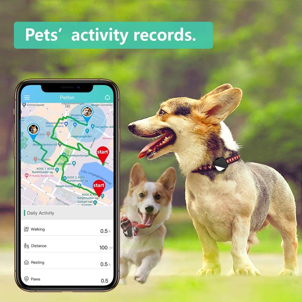 PETFON2 (Smart tracker for 2 dogs)