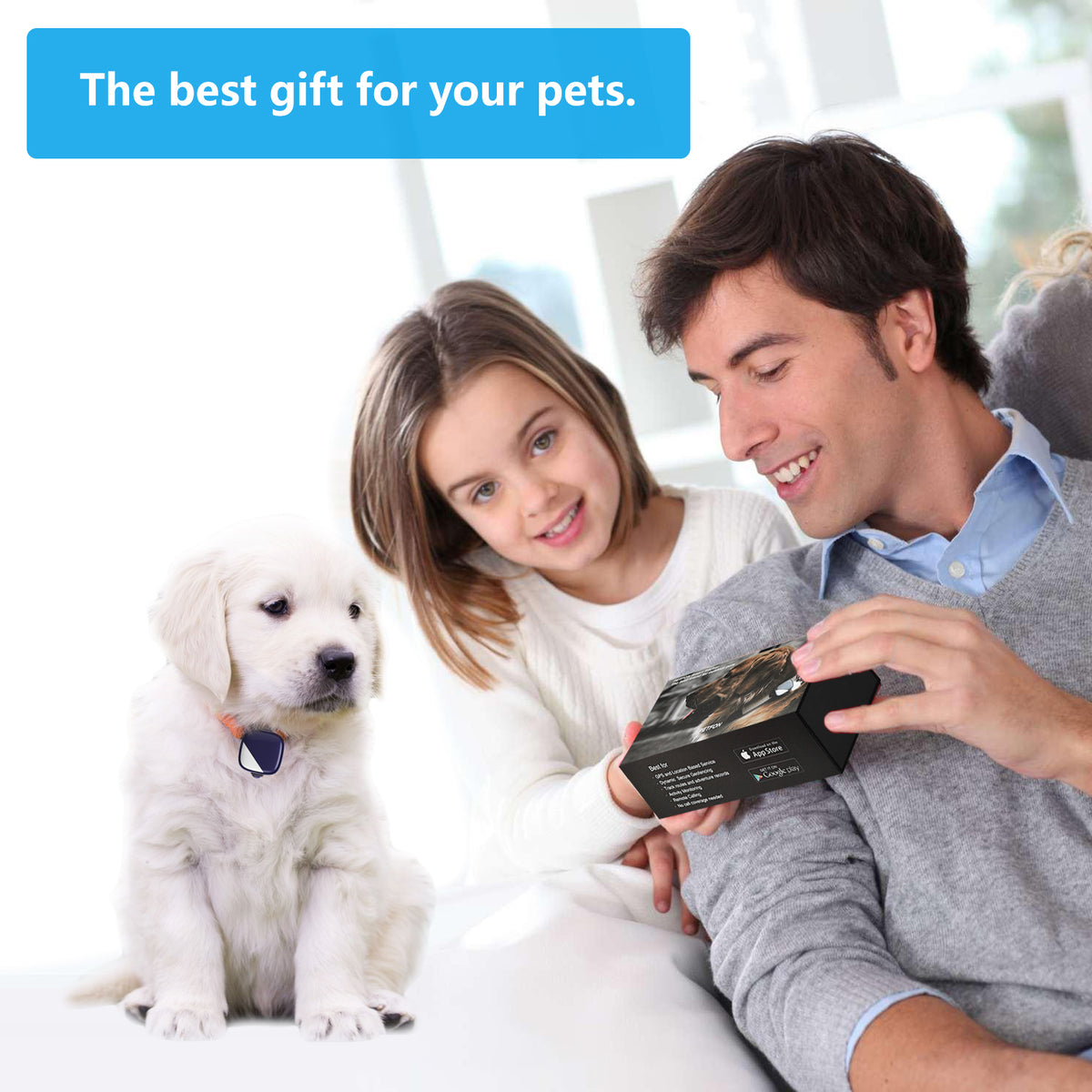 Esfranki pet gps best sale